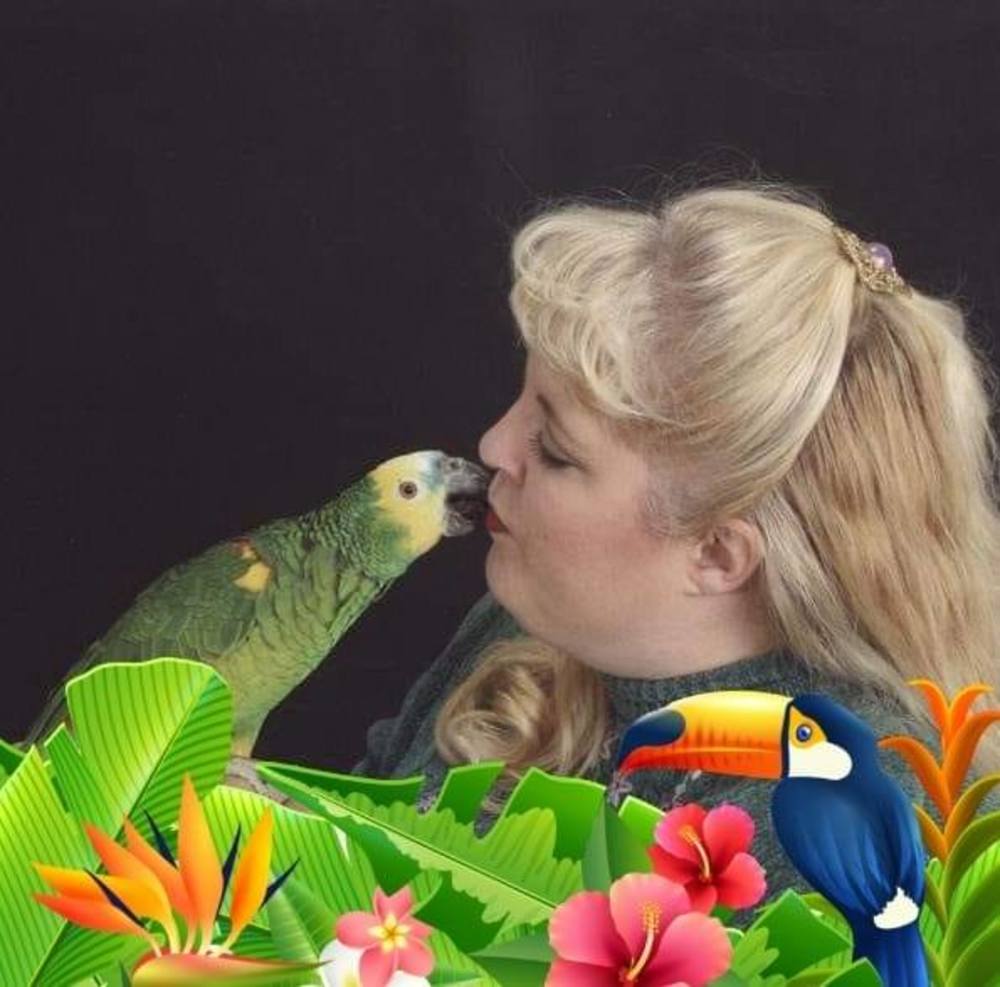 Meet your Posher, Shelley